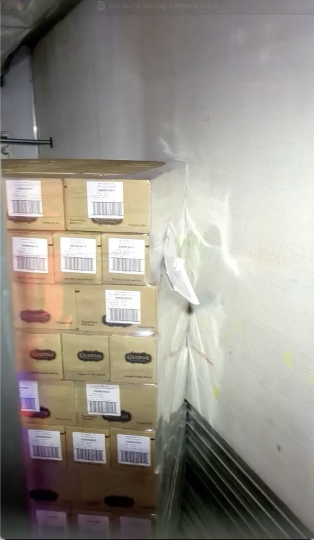 Standard angle forward facing camera view